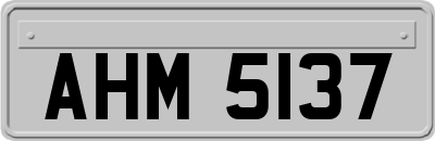 AHM5137