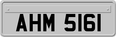 AHM5161