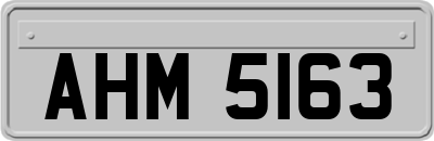 AHM5163