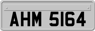 AHM5164