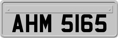 AHM5165