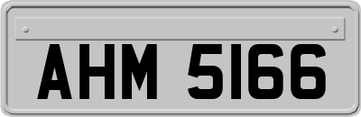 AHM5166