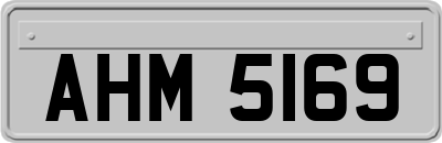 AHM5169