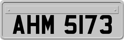 AHM5173