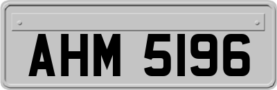 AHM5196