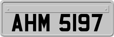 AHM5197