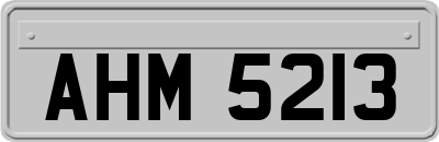 AHM5213