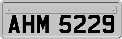 AHM5229