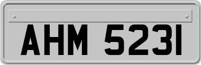 AHM5231