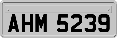 AHM5239