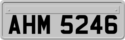 AHM5246