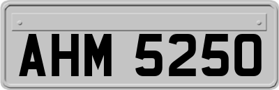 AHM5250