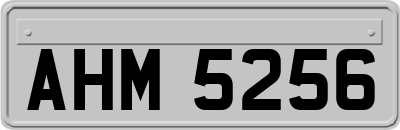 AHM5256