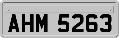 AHM5263