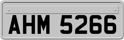 AHM5266