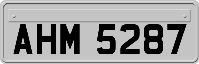 AHM5287