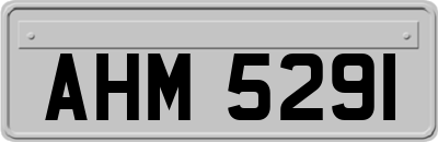 AHM5291