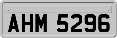AHM5296