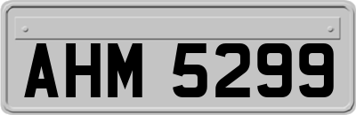 AHM5299