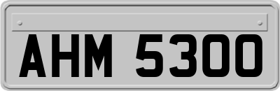 AHM5300
