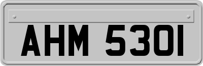 AHM5301