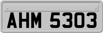 AHM5303