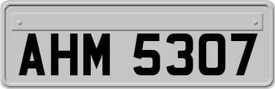 AHM5307