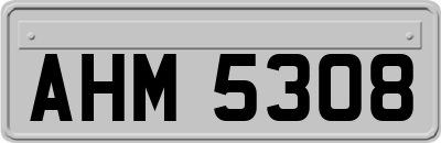 AHM5308