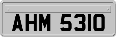 AHM5310