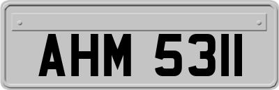 AHM5311