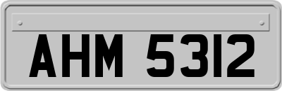 AHM5312