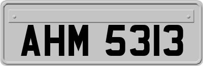AHM5313