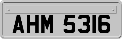 AHM5316