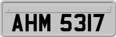 AHM5317