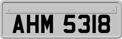 AHM5318