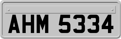 AHM5334