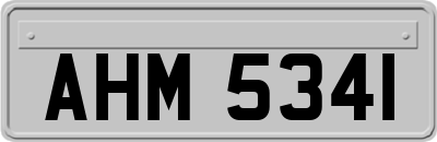 AHM5341