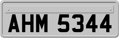 AHM5344