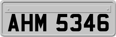 AHM5346