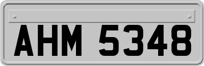 AHM5348