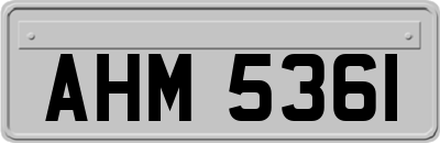 AHM5361
