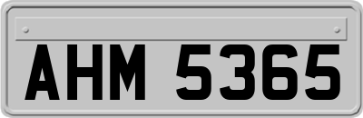AHM5365