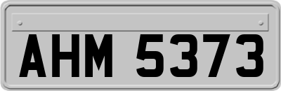 AHM5373
