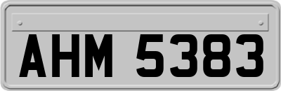 AHM5383