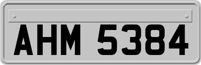 AHM5384