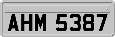 AHM5387
