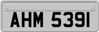 AHM5391
