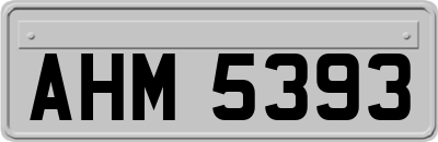 AHM5393