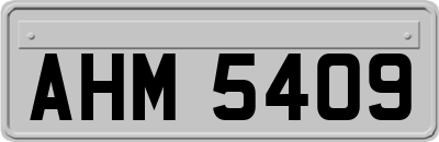 AHM5409