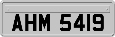 AHM5419